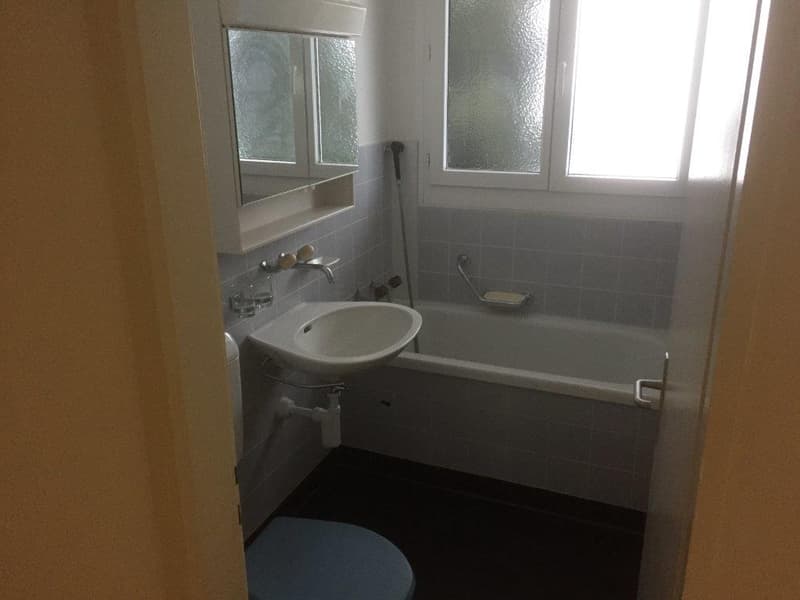 3 1/2-room apartment, 2nd floor left (4)