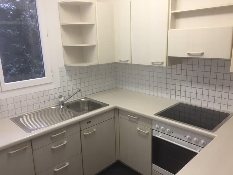 3 1/2-room apartment, 2nd floor left (3)