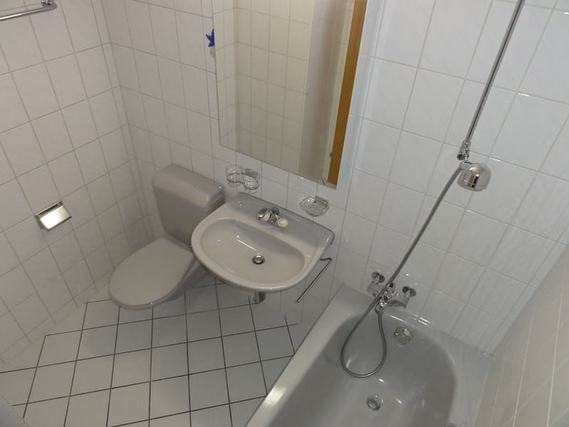 Appartamento 1 1/2 locali, 1° piano medio (7)