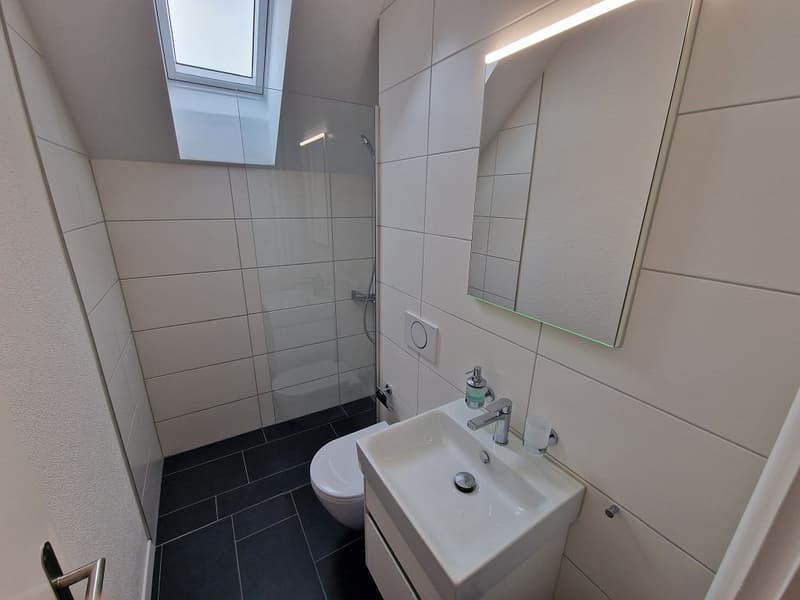2- Zimmerwohnung, 2. Stock links (Dachwohnung Nr. 7) (5)