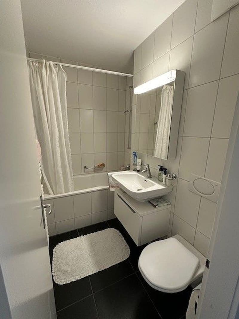 3 1/2-room apartment, 2nd floor left (5)