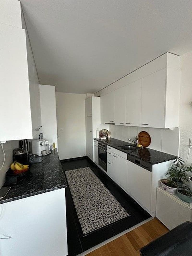 3 1/2-room apartment, 2nd floor left (3)