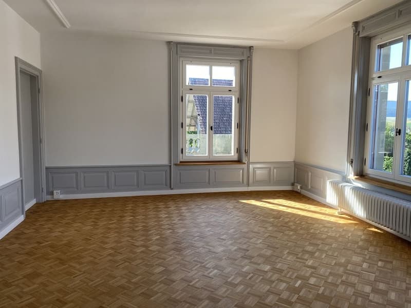 Erstvermietung nach umfassender Sanierung - 4 1/2-Zimmerwohnung, 1. Stock (3)