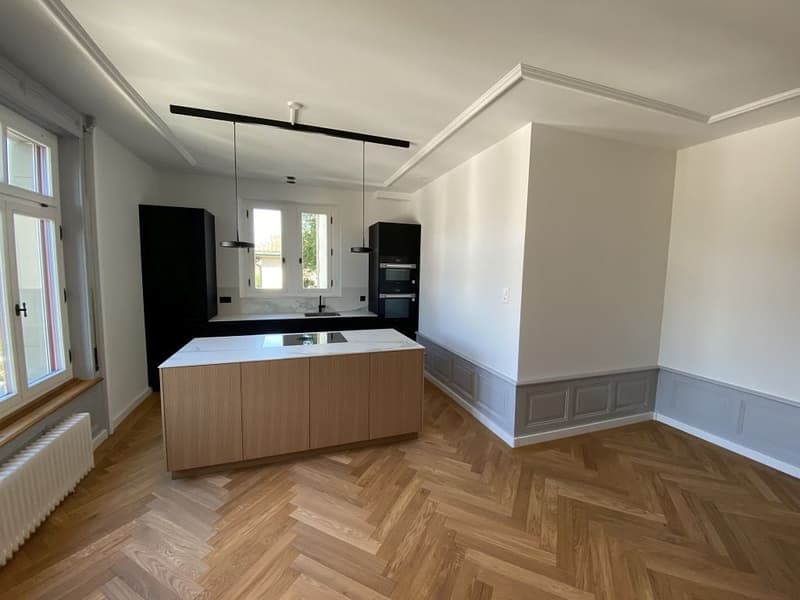 Erstvermietung nach umfassender Sanierung - 4 1/2-Zimmerwohnung, 1. Stock (2)