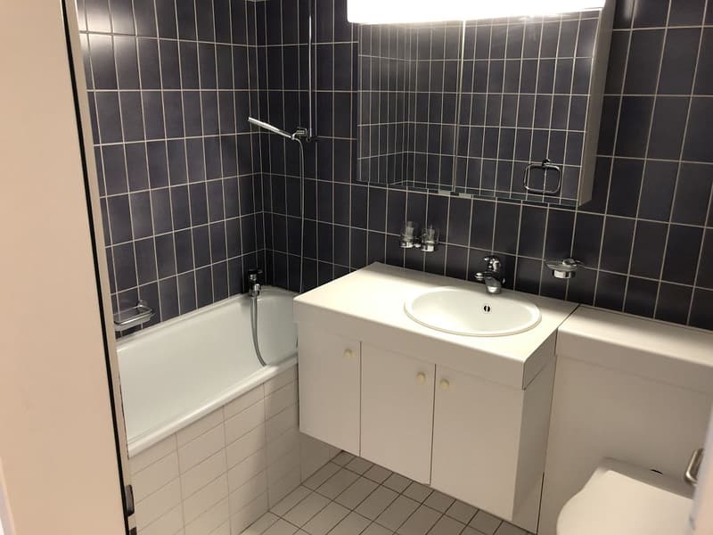 Appartement 2.5 pièces, 2e étage gauche (5)