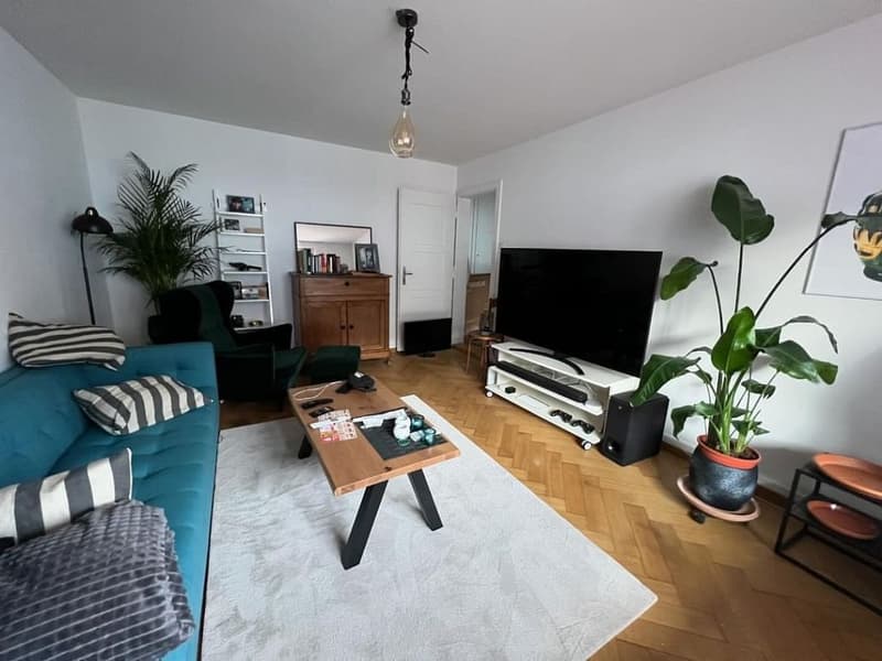 Appartement 2 pièces, Rez-de-chaussée droite (5)