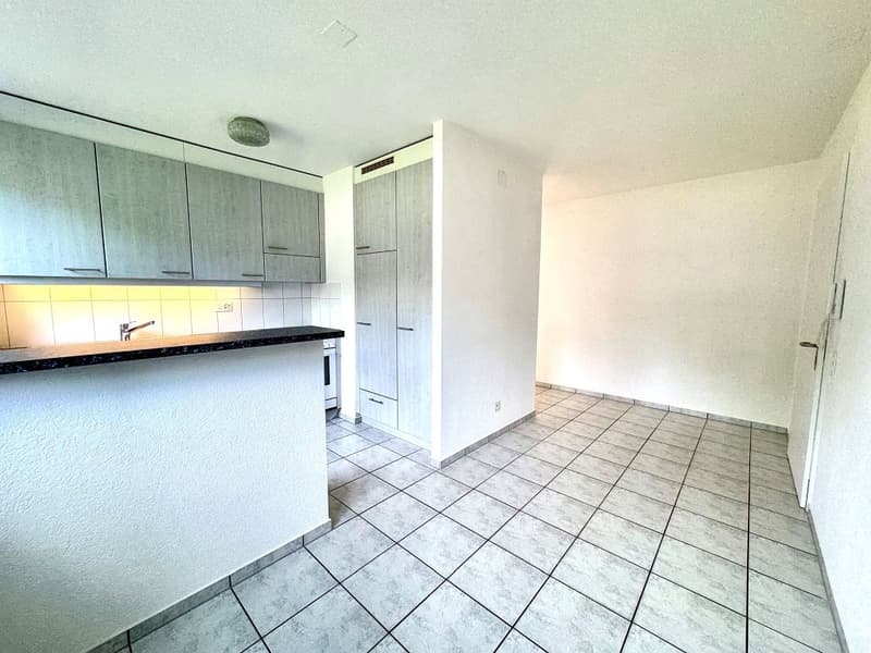 Appartement 3,5 pièces, rez-de-chaussée gauche (3)