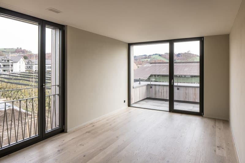 3.5-Room Attic Apartment B2_03 (9)