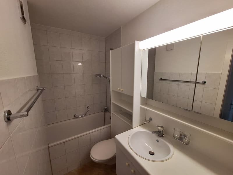 Appartement 3 1/2 pièces, 1er étage gauche (6)