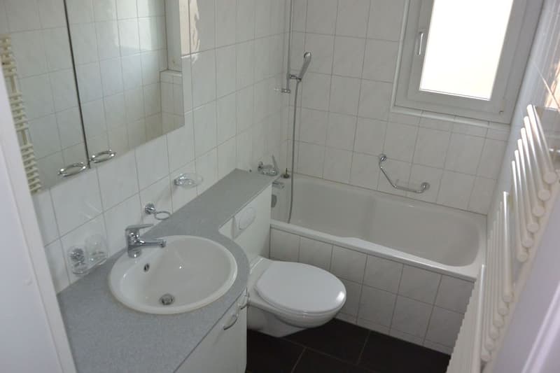 Appartamento 4 1/2 locali, 1° piano destro (4)