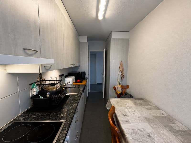 Appartamento 3 1/2 locali, 1° piano a destra (5)