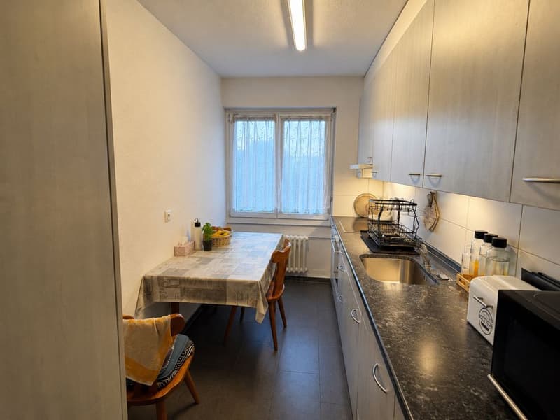Appartamento 3 1/2 locali, 1° piano a destra (4)