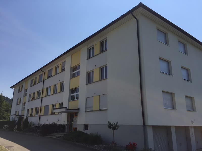 Appartamento 3 1/2 locali, 1° piano a destra (1)