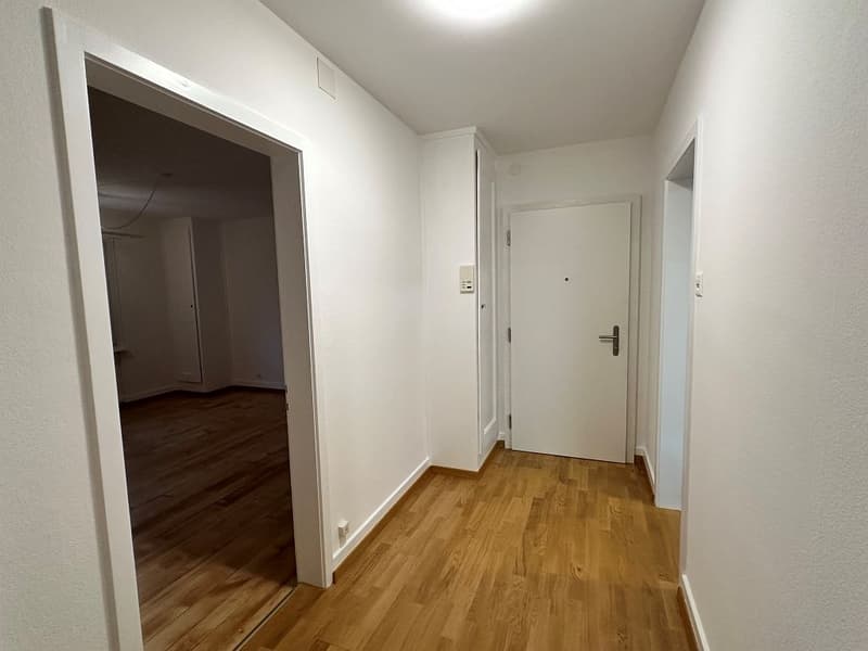 Appartamento di 3 camere, 1° piano sinistro (2)