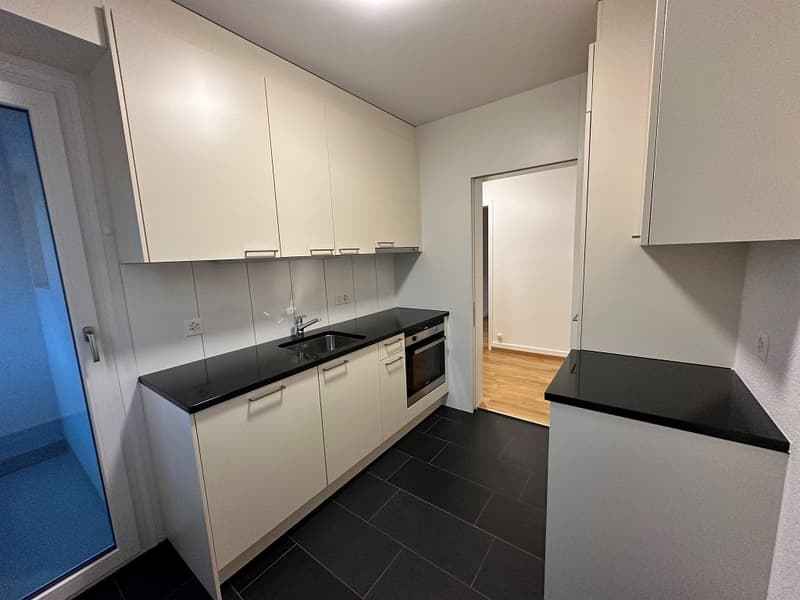 Appartamento di 3 camere, 1° piano sinistro (3)