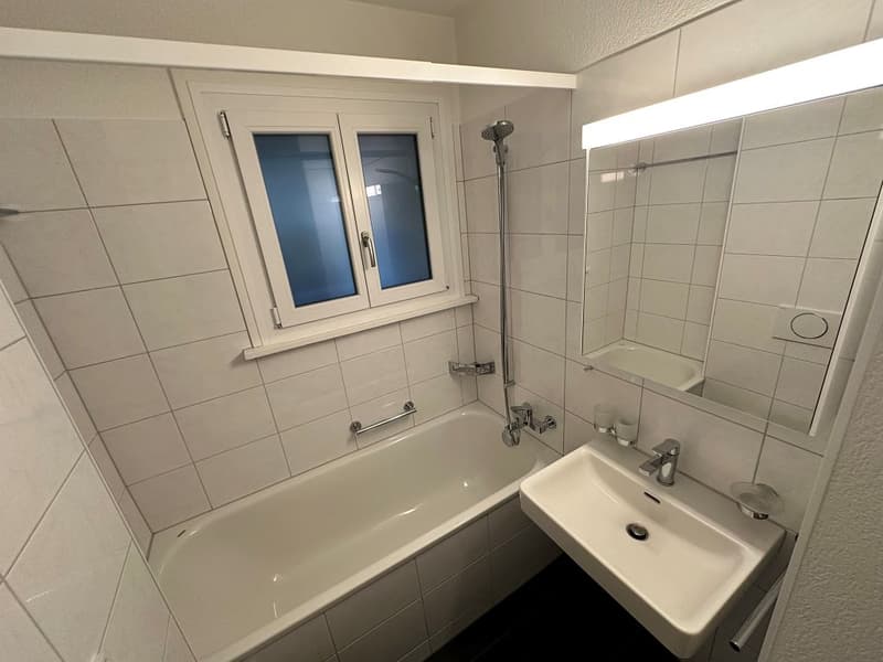 Appartamento di 3 camere, 1° piano sinistro (7)