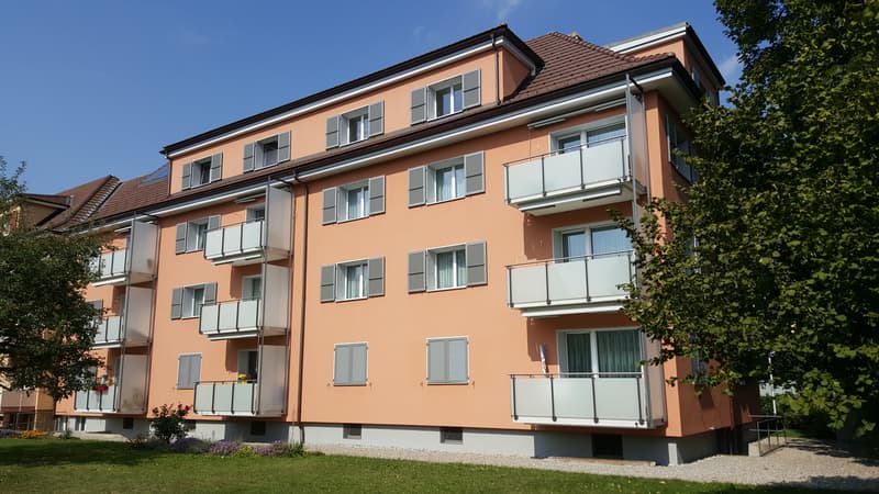 Appartamento di 3 camere, 1° piano sinistro (1)