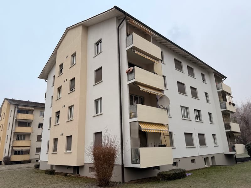 Appartamento di 3 camere al 1° piano sinistro (1)