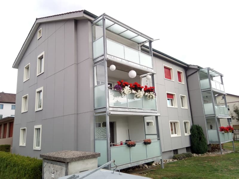 schöne 3-Zimmerwohnung im 2. Stock (1)