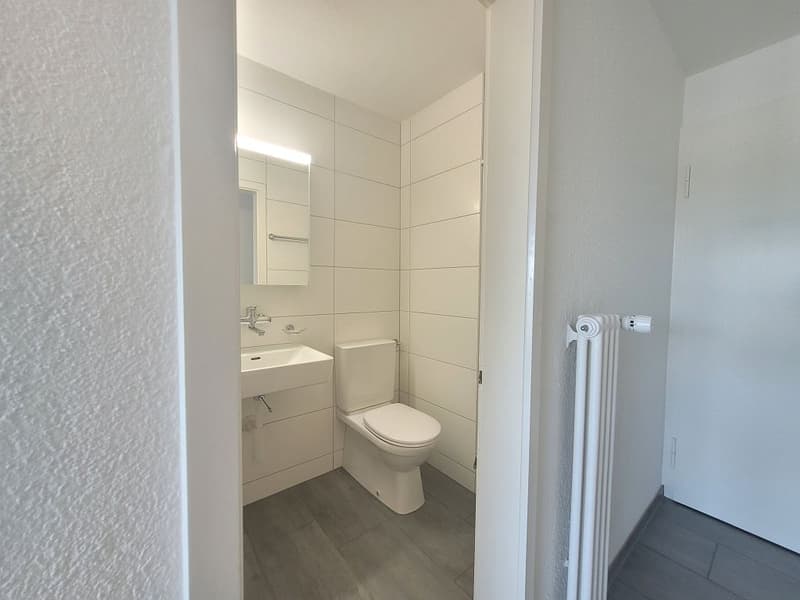1 1/2-Zimmerwohnung, Parterre Mitte (2)