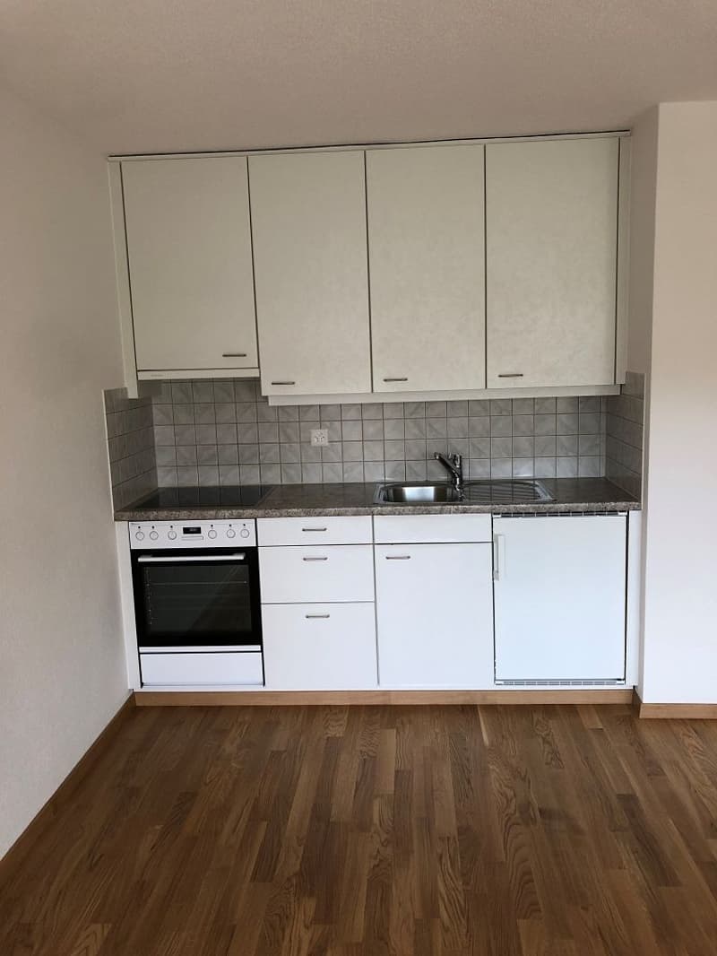 1-Zimmerwohnung, 2. Stock mitte (3)