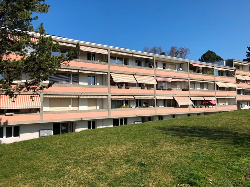 3 1/2-Zimmerwohnung, Parterre rechts (1)