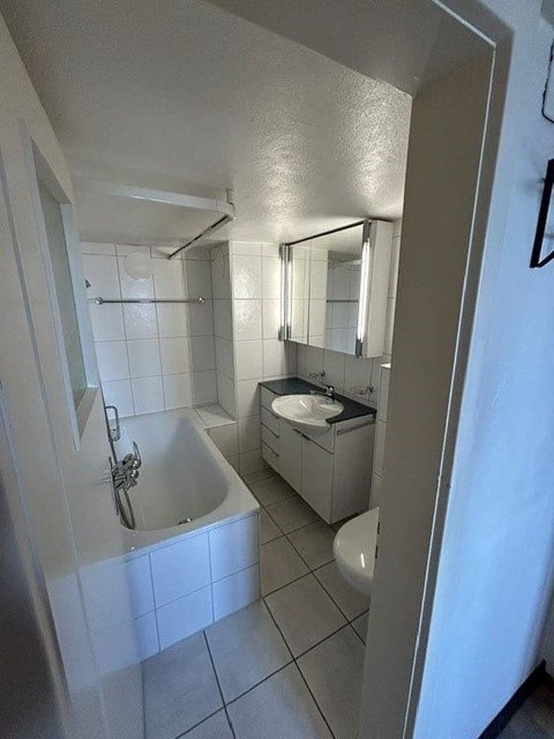 2e étage, appartement 3 pièces et demi (7)