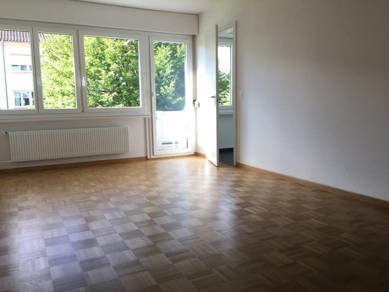 Appartement 2 pièces, 1er étage gauche (4)