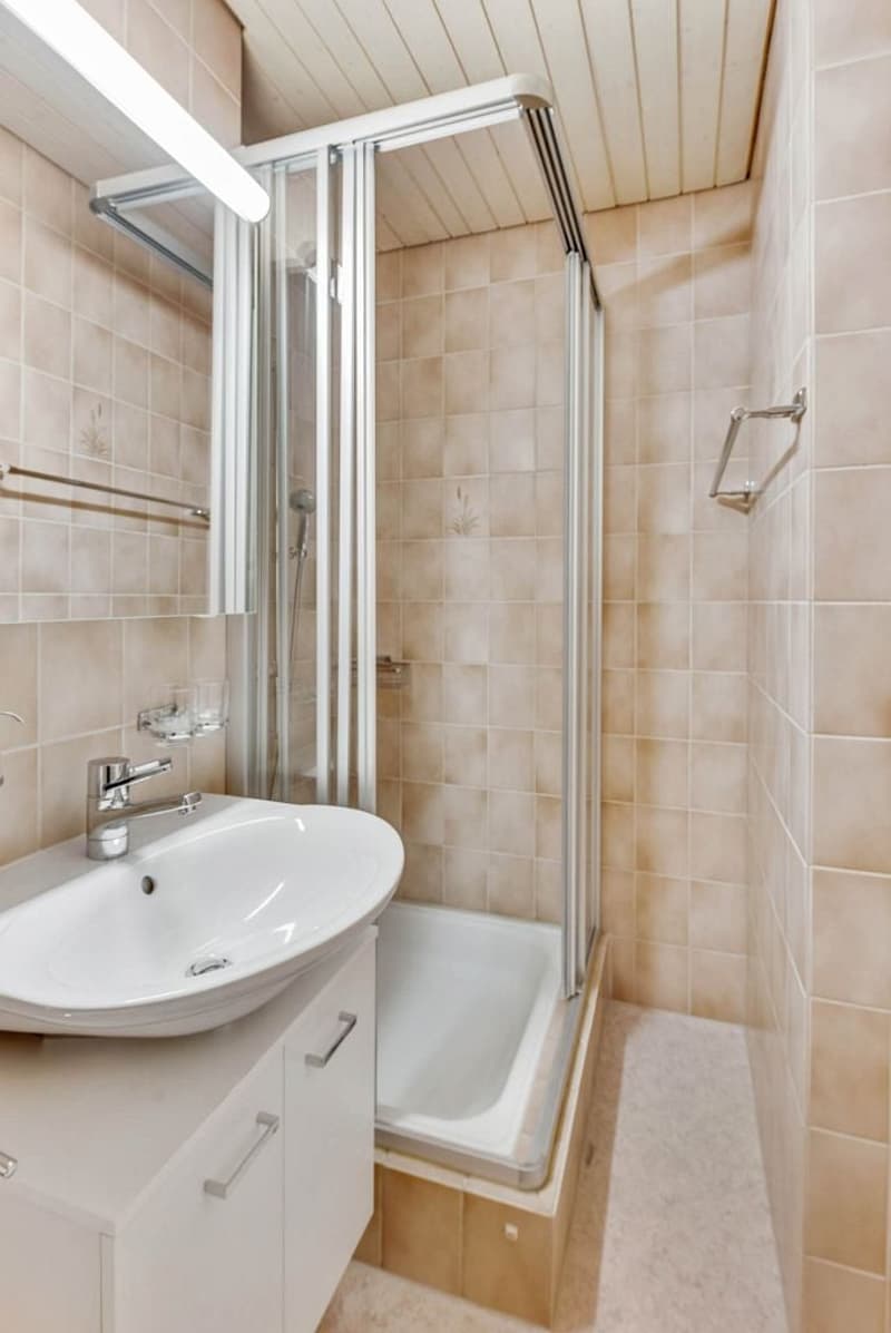 Grosszügige 4.5-Zimmerwohnung im Dachgeschoss mit Balkon (8)