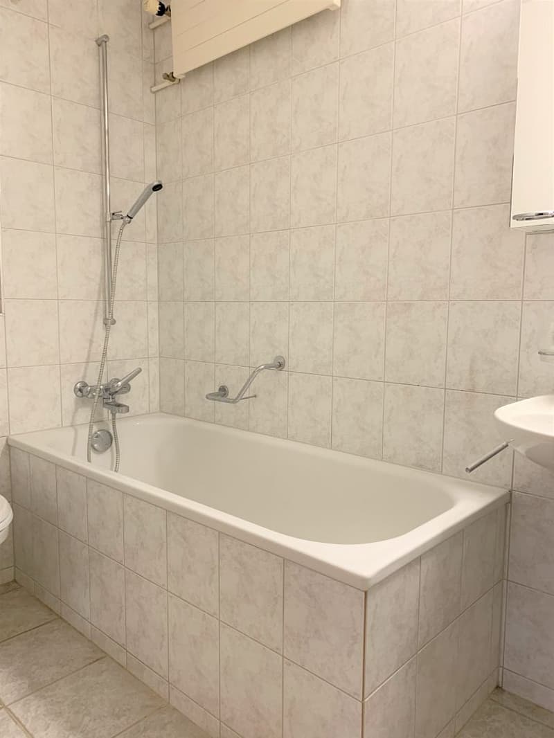 Appartamento 3 1/2 locali, 1° piano destro (6)