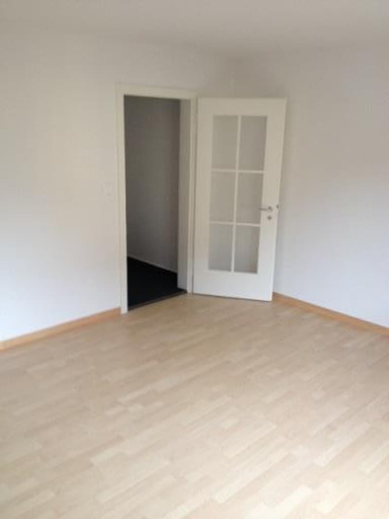 Appartamento 2 camere, 2° piano centrale (5)