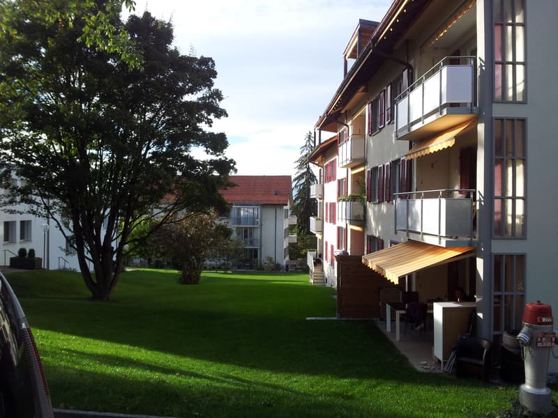 Appartamento 2 camere, 2° piano centrale (8)