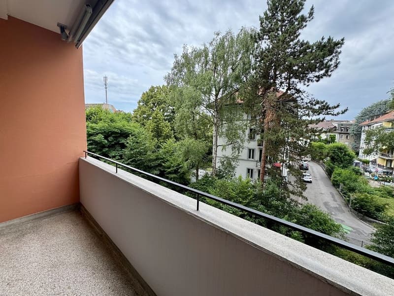 Appartement 3 pièces, 2e étage gauche (9)