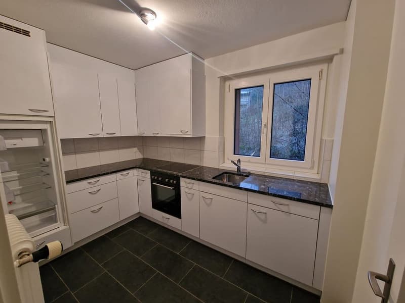 moderne 3-Zimmerwohnung, 1. Stock links (2)