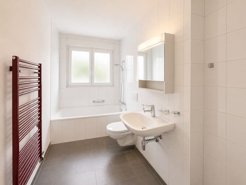 Sanierte 3 1/2-Zimmerwohnung, 1. Stock links (6)