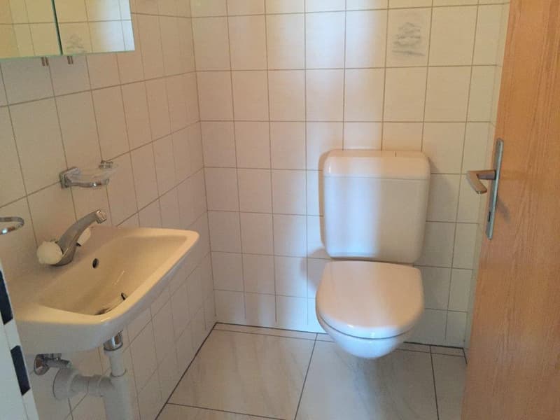 Appartement 3 1/2 pièces, 2e étage gauche (5)
