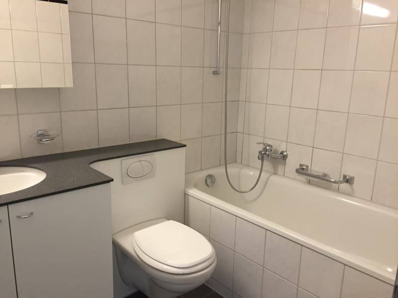 Appartamento di 3 1/2 locali, 1° piano (7)