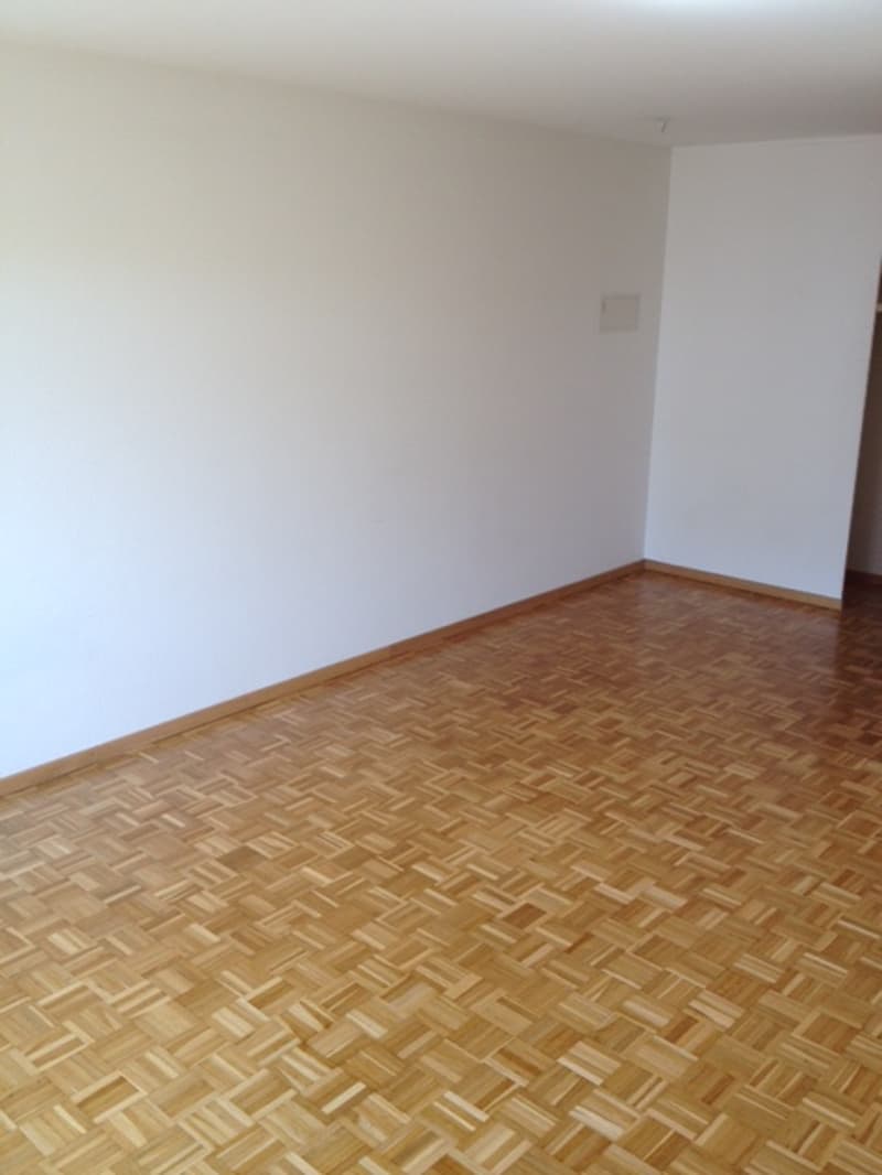 Appartamento 1 1/2 locali, 3° piano, centro città (6)