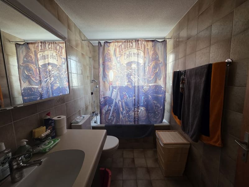 Appartement 3,5 pièces, rez-de-chaussée droit (6)