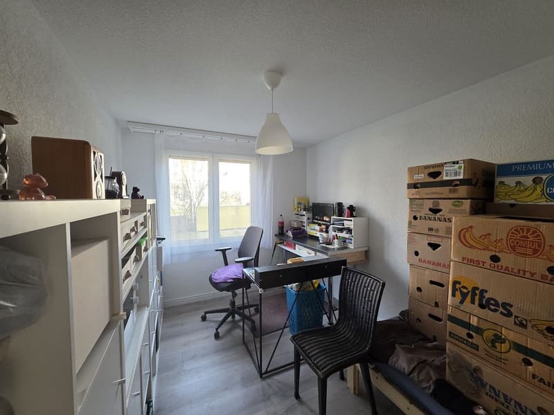 Appartement 3,5 pièces, rez-de-chaussée droit (5)