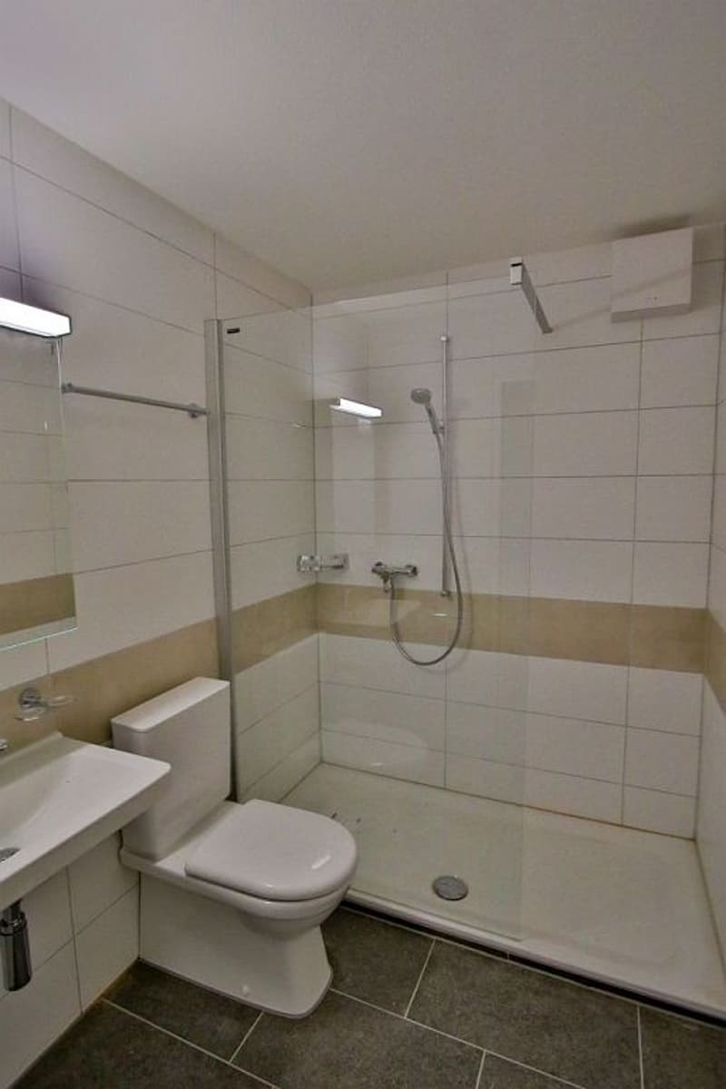 Appartement 3 1/2 pièces, 3e étage droite (7)