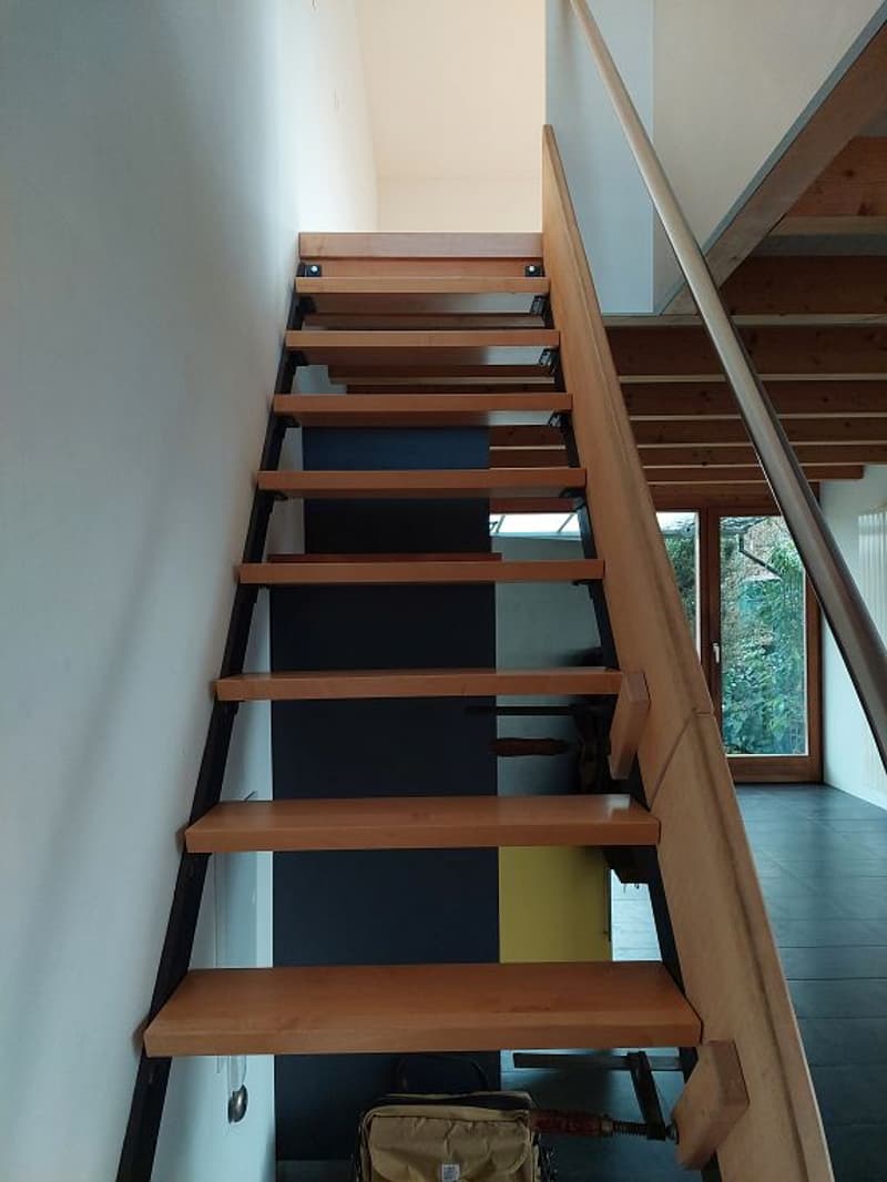 maison tiny house unique de 3 1/2 pièces (7)