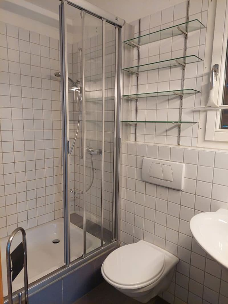 maison tiny house unique de 3 1/2 pièces (6)