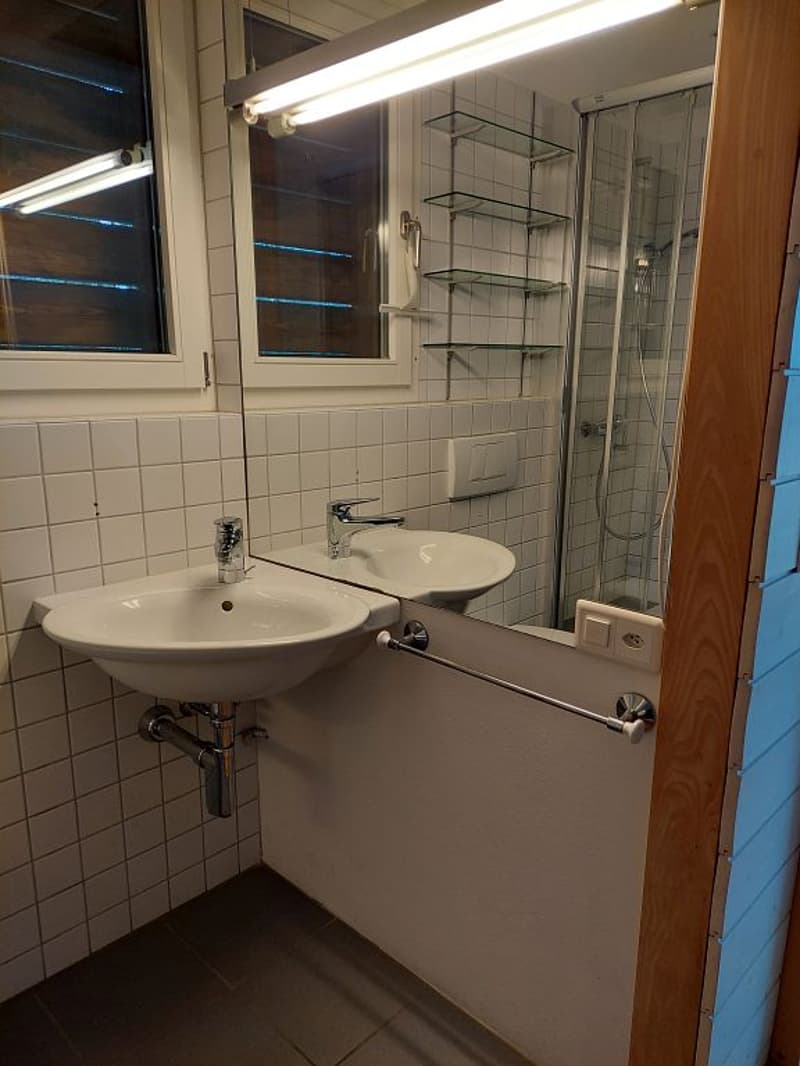 maison tiny house unique de 3 1/2 pièces (5)