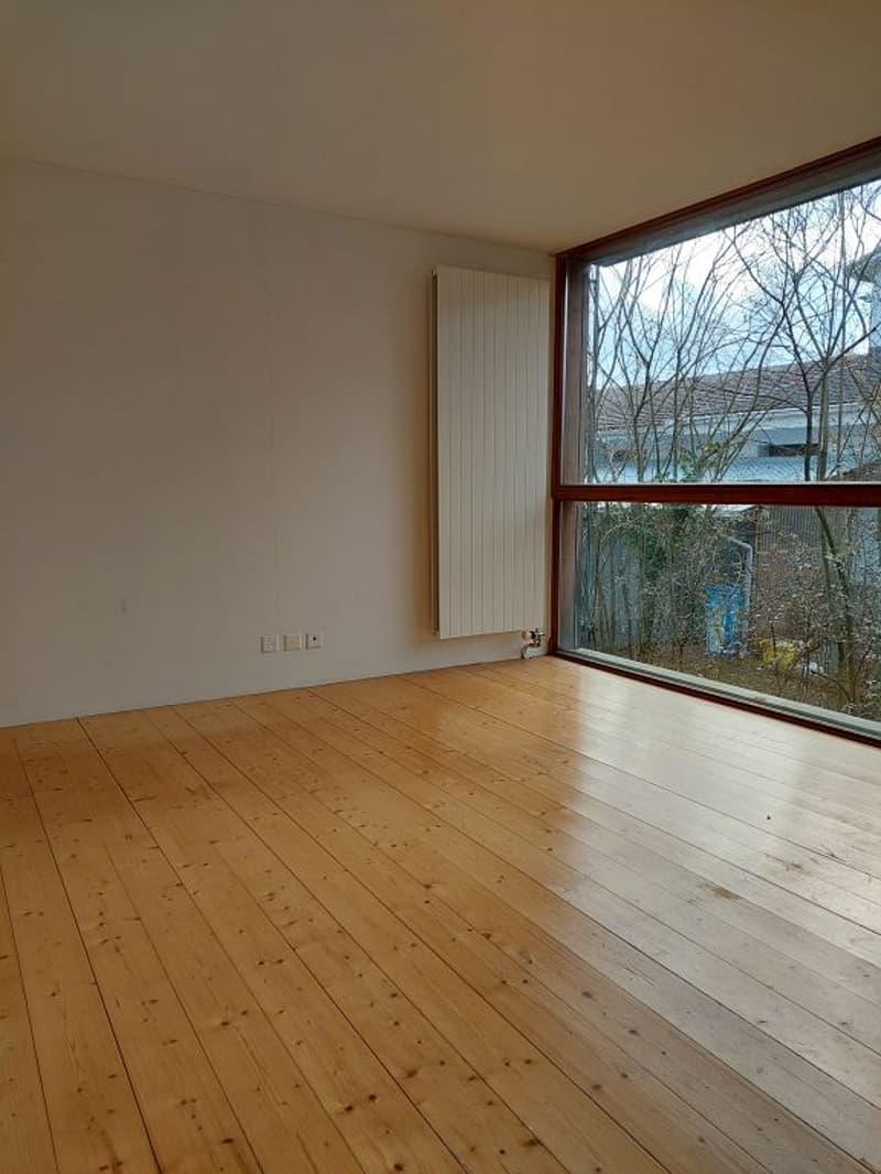 maison tiny house unique de 3 1/2 pièces (4)