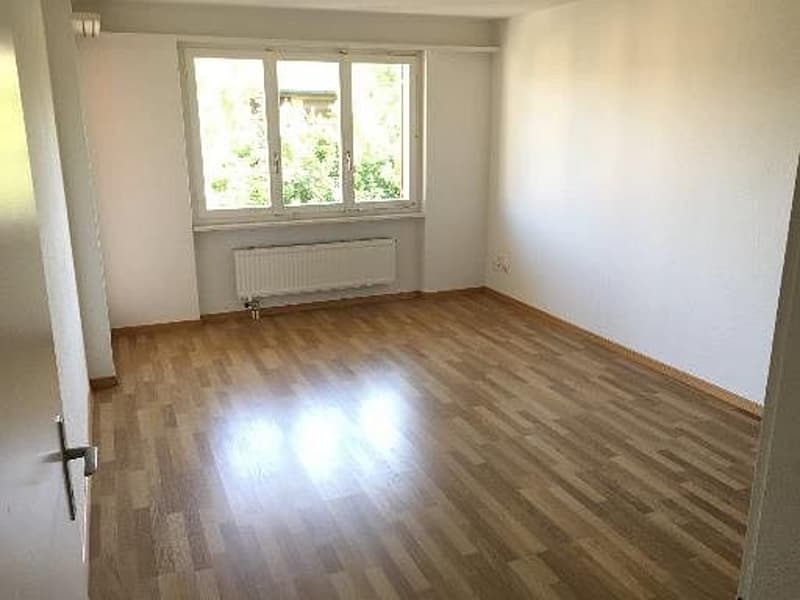Delizioso appartamento 4 1/2 locali, 2° piano a destra (6)