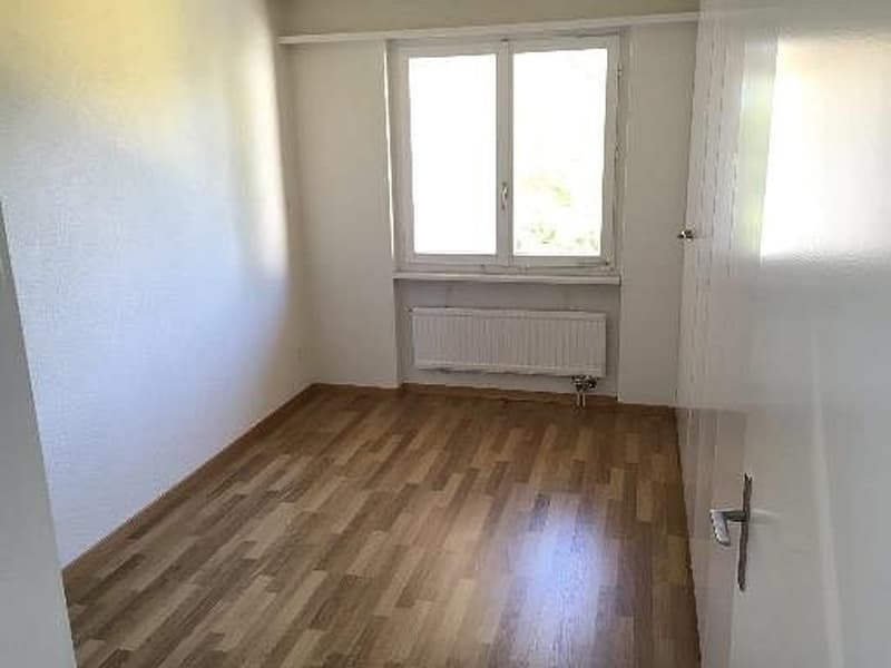 Delizioso appartamento 4 1/2 locali, 2° piano a destra (7)
