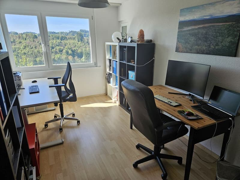 Appartamento 3.5 locali, 2° piano (8)