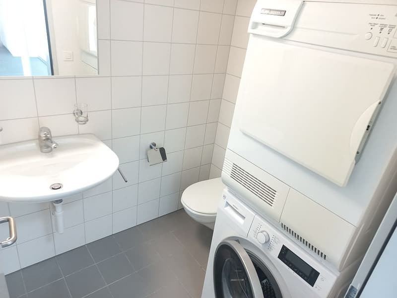 Appartamento 3.5 locali, 2° piano (4)