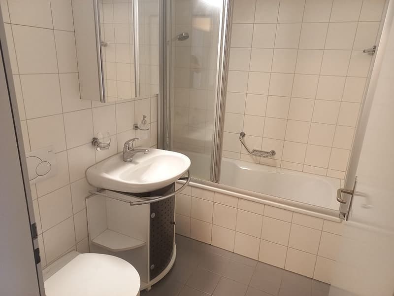 Appartamento 3.5 locali, 2° piano (3)